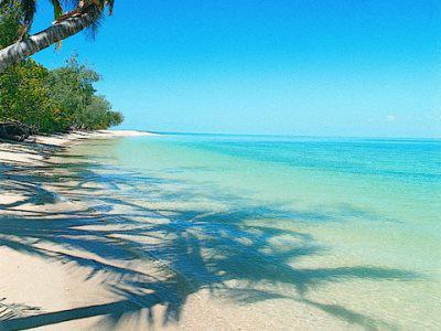 Bedarra Island Hotel Great Barrier Reef Bagian luar foto